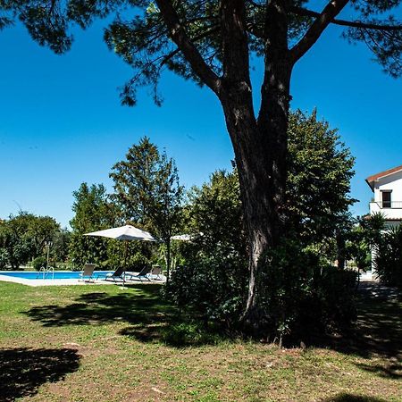 Terre Etrusche Guest House-Terme -3 Minuti Da Viterbo Centro Kültér fotó