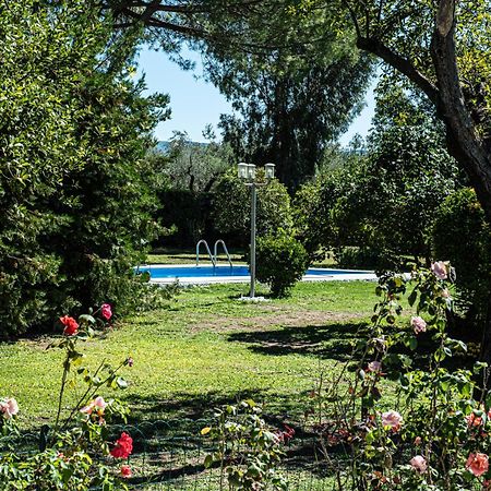 Terre Etrusche Guest House-Terme -3 Minuti Da Viterbo Centro Kültér fotó