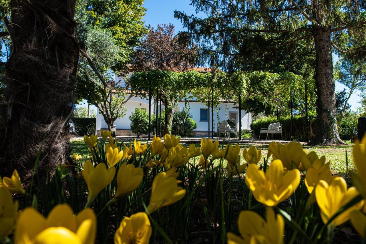 Terre Etrusche Guest House-Terme -3 Minuti Da Viterbo Centro Kültér fotó