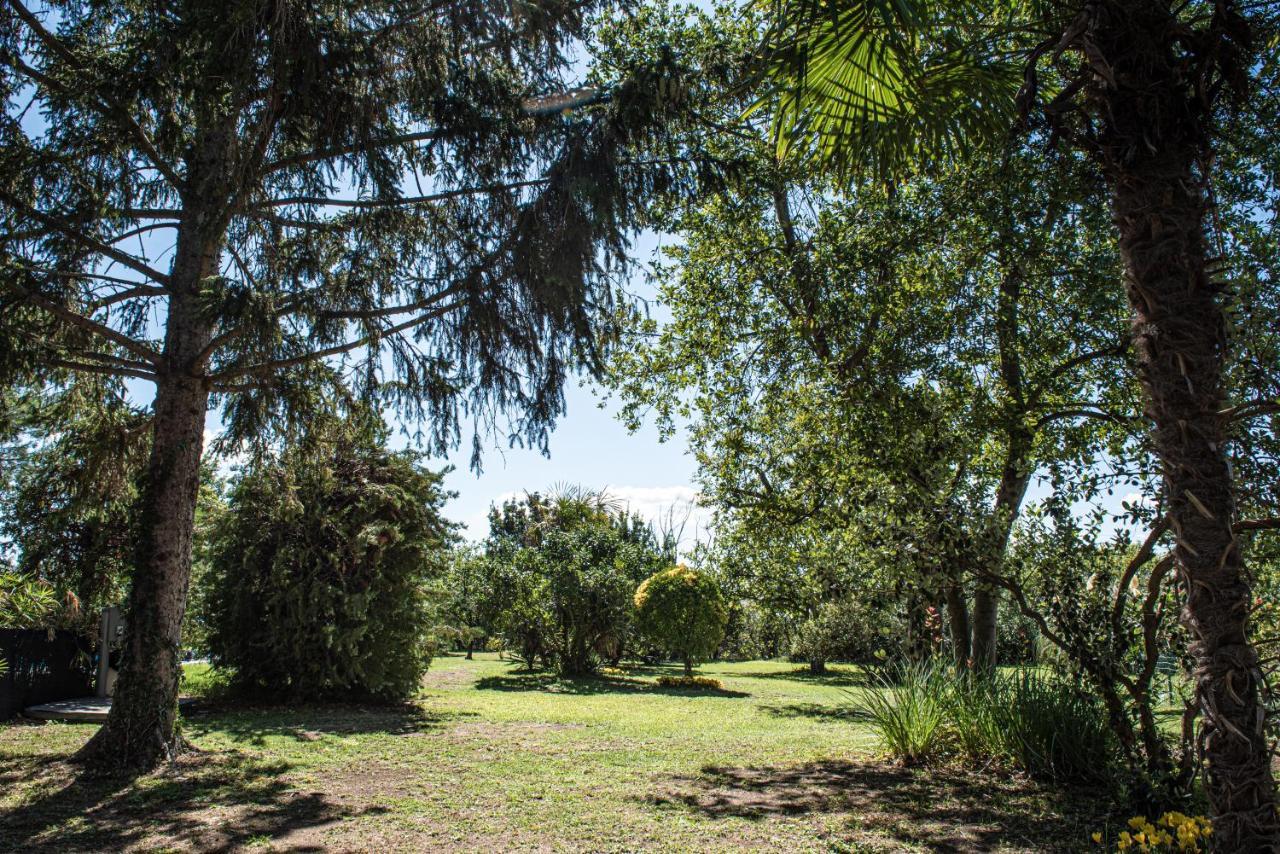 Terre Etrusche Guest House-Terme -3 Minuti Da Viterbo Centro Kültér fotó